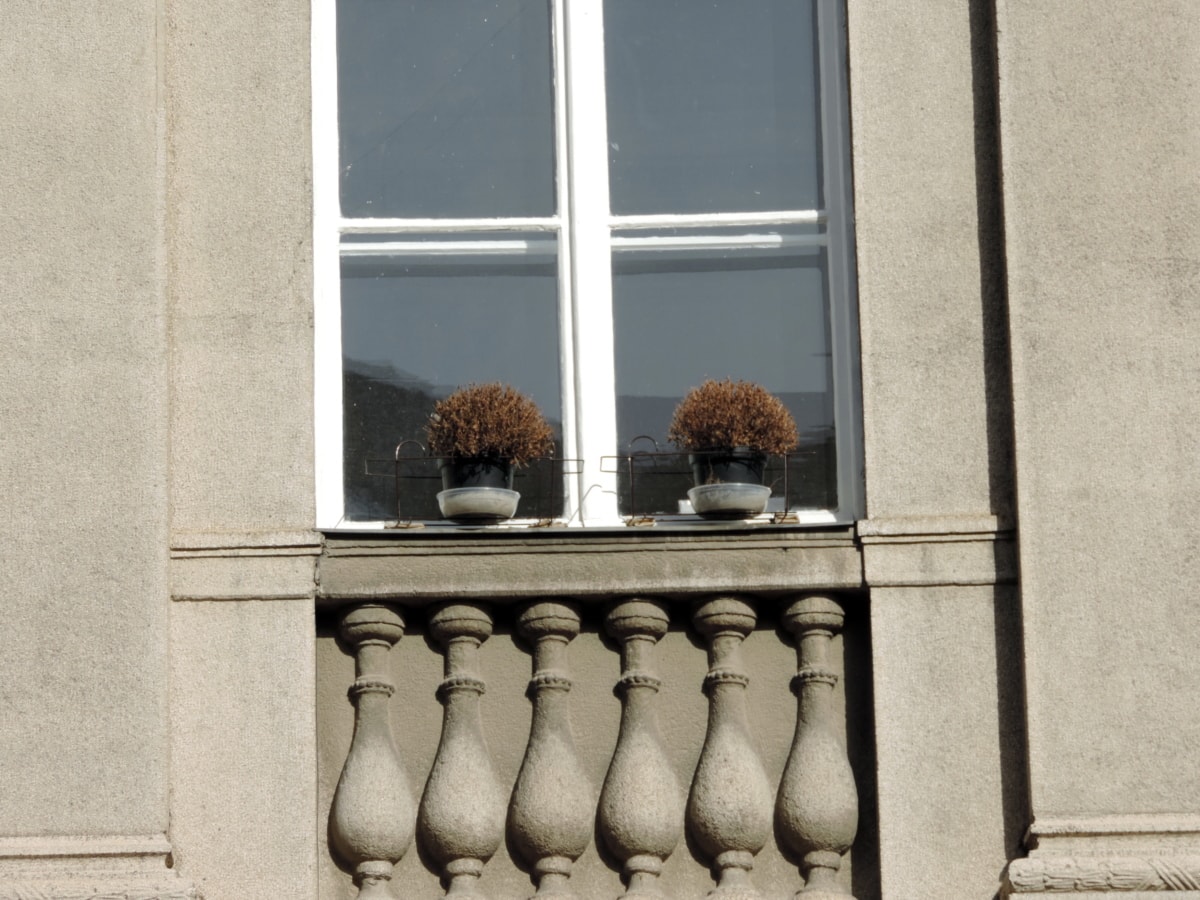 外观立花盆窗台窗口体系结构房子回家