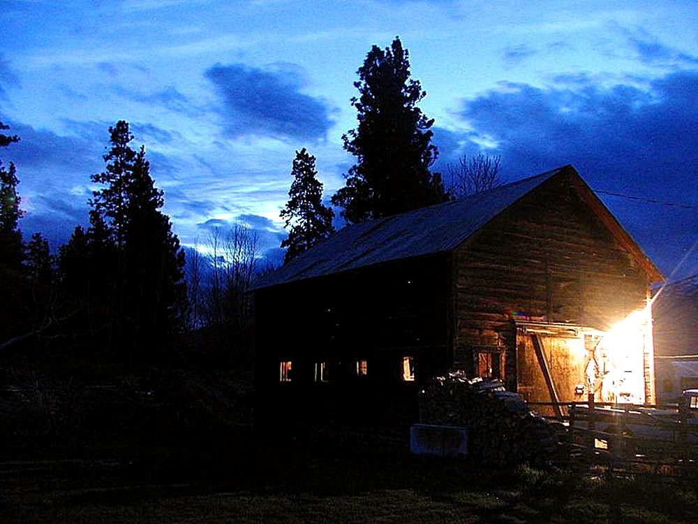 The lumberyard amateur night pics