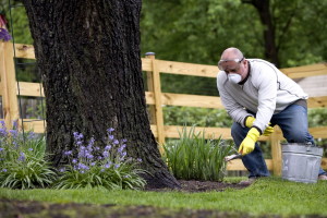 Free picture: man, wearing, gloves, goggles, facial, respirator, helped ...