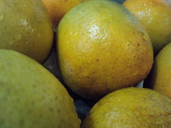 up-close ส้ม ผลไม้ พืช อินทรีย์ อาหาร