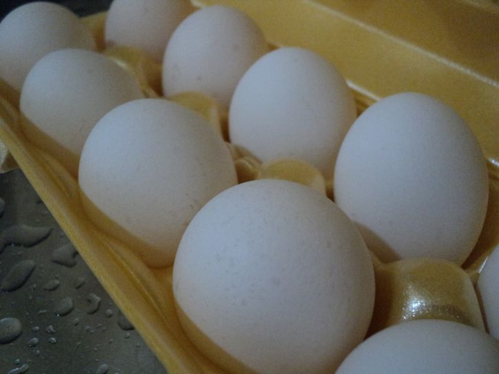 κουτί, λευκό, αυγό, αβγά