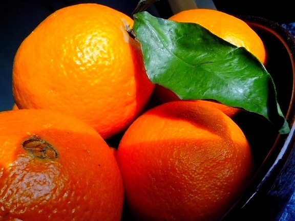 grote, sinaasappelen, bladeren, bowl