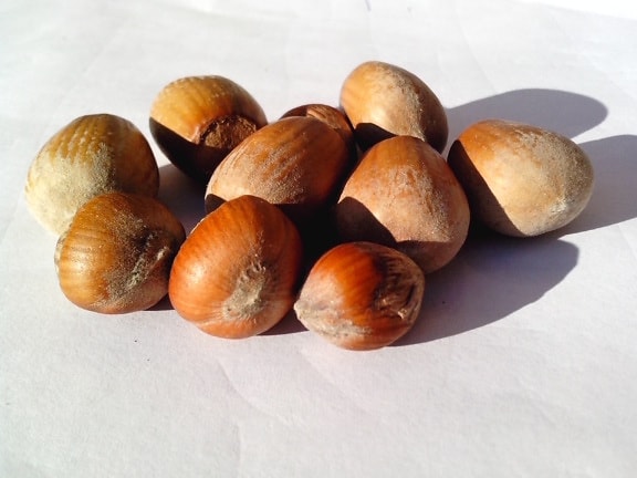 hazelnut, nuts, seeds, fruit