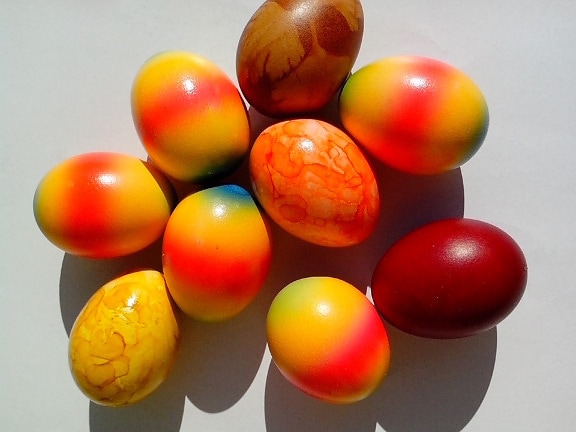 Pascua, conejito, huevos, colorido, arco iris