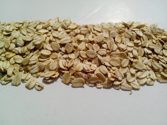 barley, kernel, germ, germinating, cereal, flakes