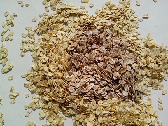 oats, rye, barley, germ, cereal, flakes, food, grains