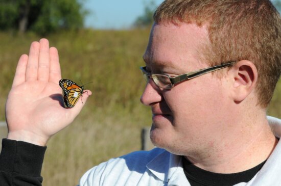 biologist, tags, Monarch, butterfly