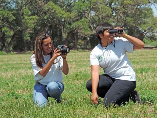 two girls, birdwatching, nature, grass