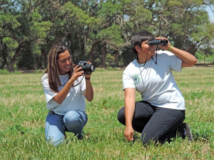 zwei Mädchen, Vögel beobachten, Natur, Gras