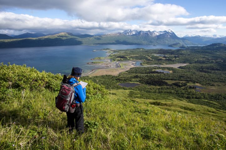 female, hiker, surveying, bay, mountains, nature