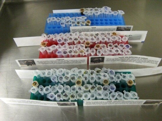 syringe, laboratory, inject
