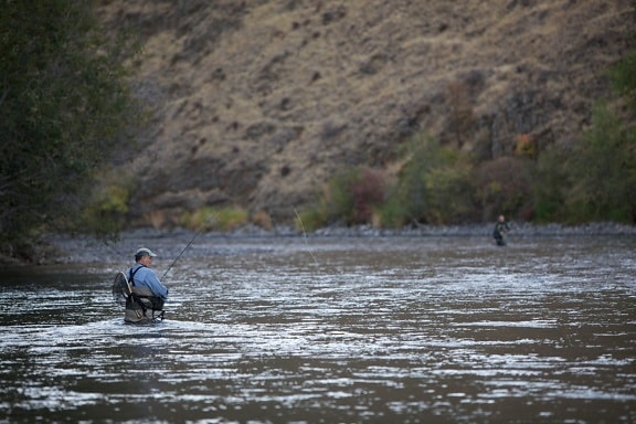 pêcheurs, poissons, truite, truite arc en ciel, Yakima, rivière