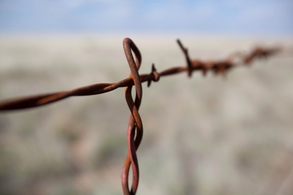 barbed wire, macro