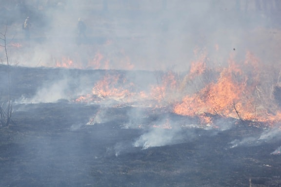 burned, fields, nature, smoke, flame