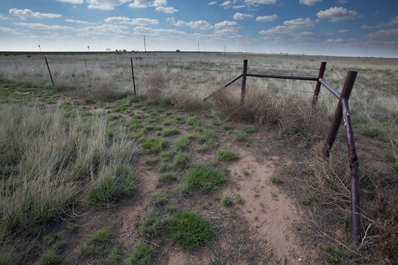desert, fence, scenic, prairie, barbed wire, sky, nature