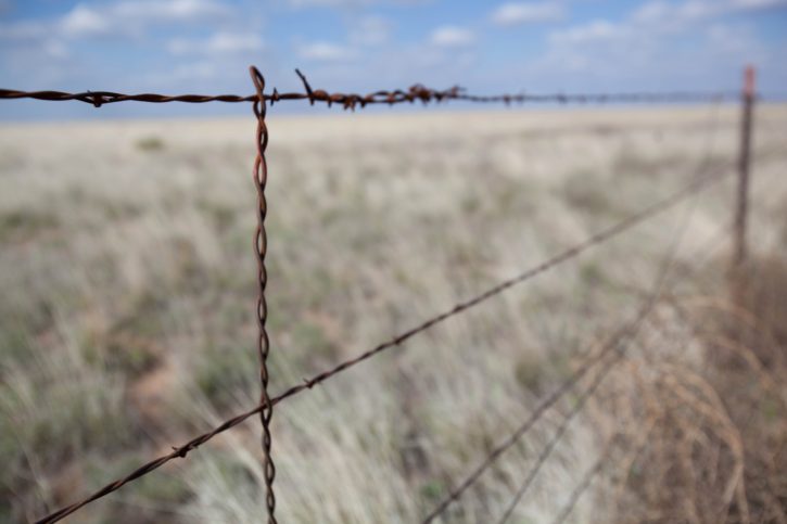 recinzione, deserto, filo spinato