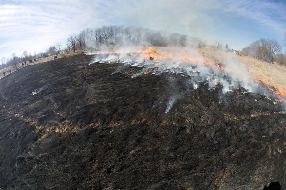 fire, crew, burns, fields, habitat, management