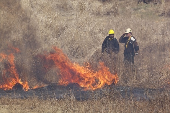 пожежники, екіпаж, мангал Хілл, природи, burn, трава