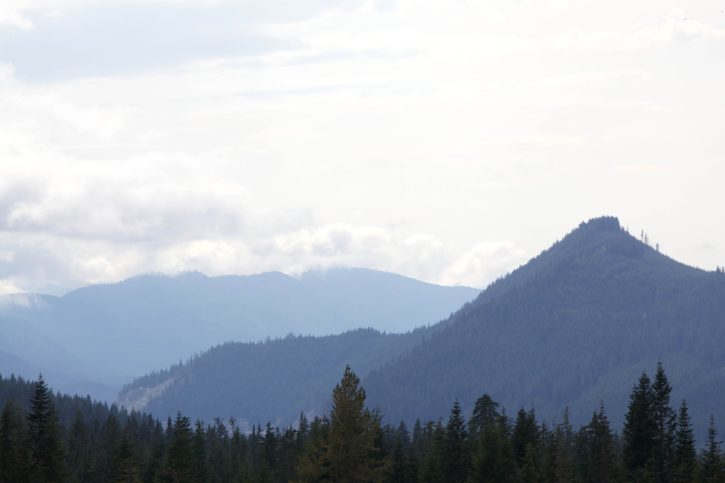 montaña, bosque, polvo, niebla, escénico, colinas