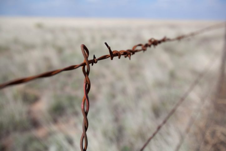 scenic, prairie, barbed wire