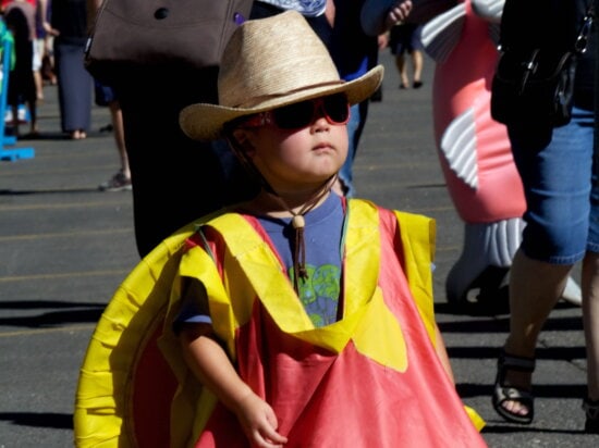 young boy, costume, parade, child, funny