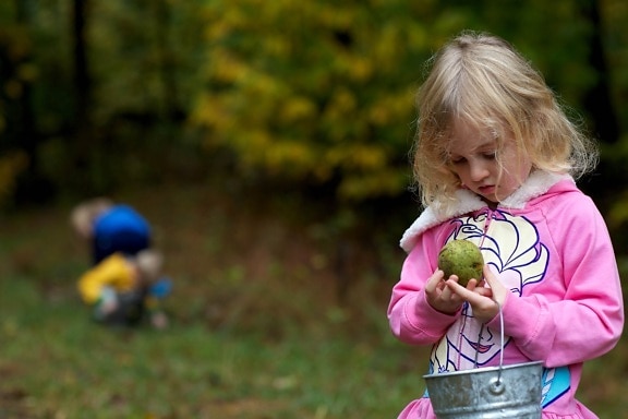 young girl, examine, walnut, acorn, picking