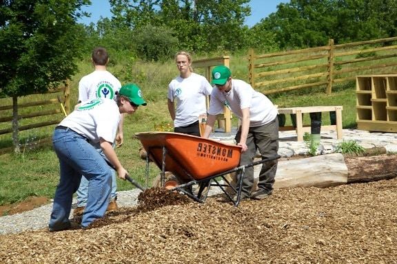 youth, conservation, corps, volunteers, spreading, mulch