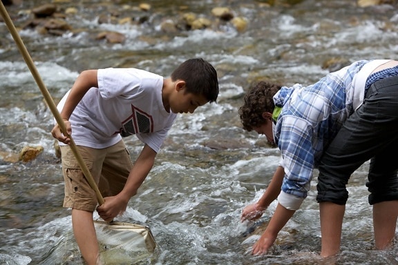 สองชาย เล่น แม่น้ำ ชายฝั่ง ชายฝั่ง
