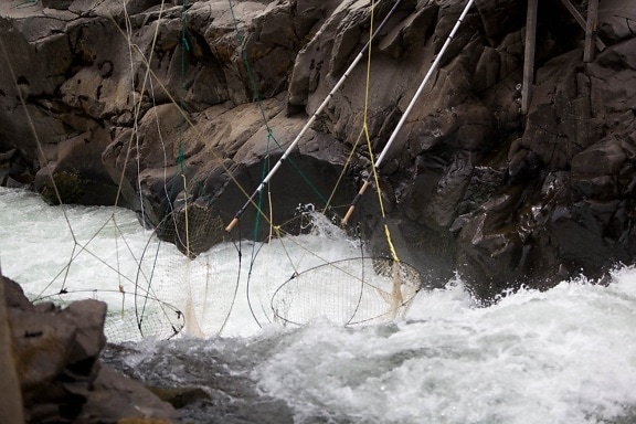 traditional, dip, net, fishing