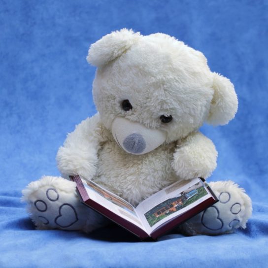 книга, дете, пухкав, лапи, плюш, четене, Седни, пълнени, играчка, Теди, мечка