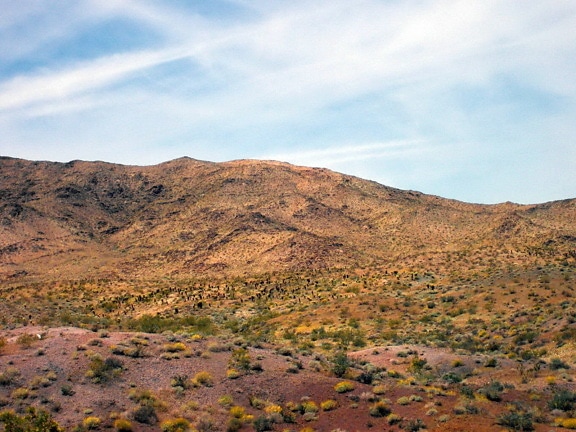 Southwestern United States, desert, nature