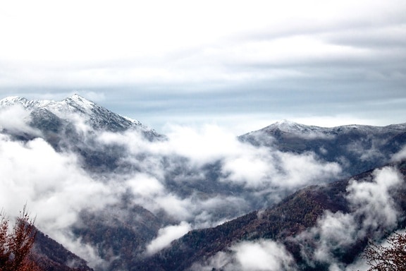 风景, 山, 冷, 雾, 山顶, 自然, 雪