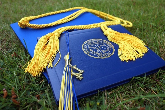 College, sertifikat, topi, perayaan, upacara, studi