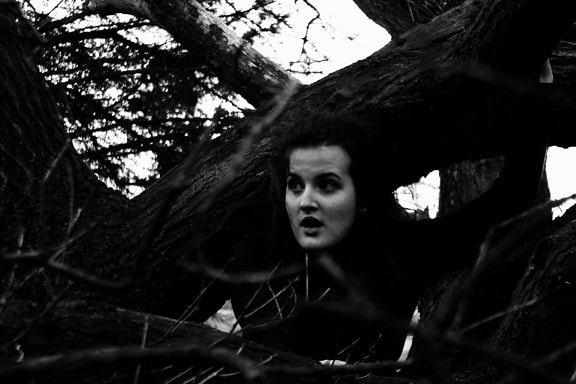 menina, arte, ao ar livre, árvore, preto e branco