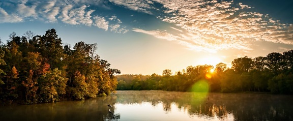 river, sunrise, sunset, reflection, trees, water