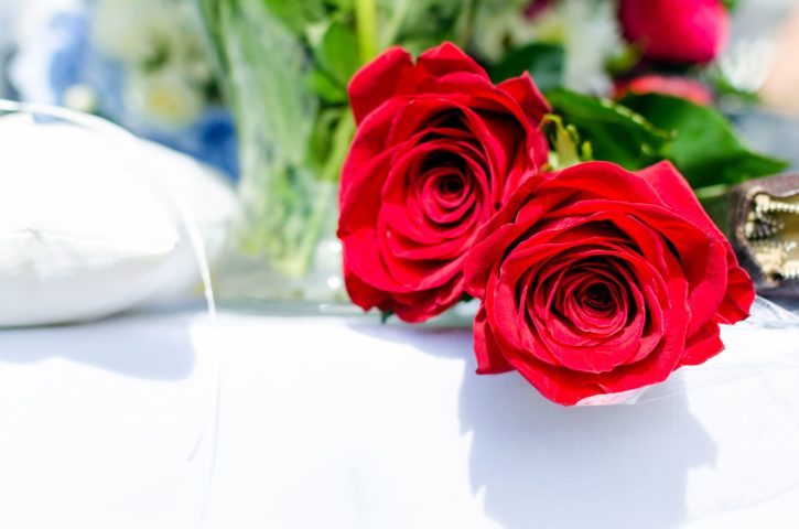 Flora, trandafir, romantic, flori proaspete, cadou, de ziua de nastere, înflorit