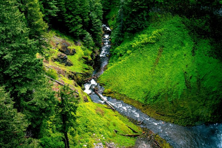 jokea, creek, mountain, luonnosta kiviä, stream, puut, vesiputous, woods