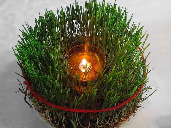 Christmas Wheat, Decoration, Christianity, Orthodox traditions