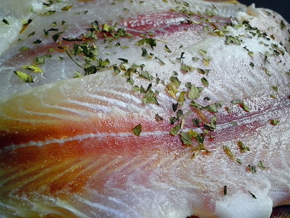 fish fillets, pangasius catfish, meat