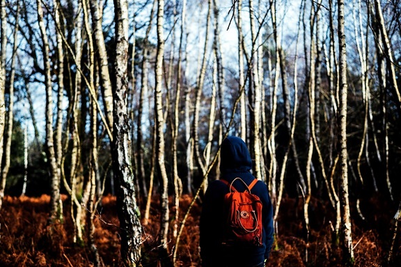 person som promenader, woods, kall dag, miljö