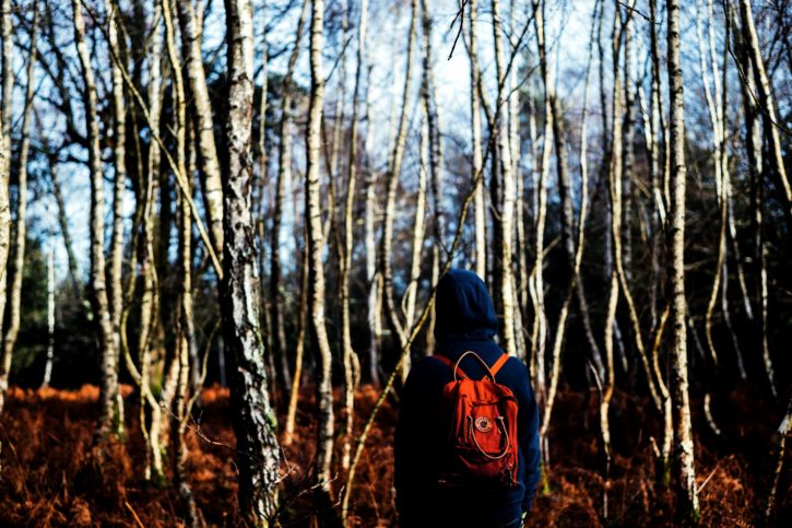 人が歩いて、森の中、寒い日、環境