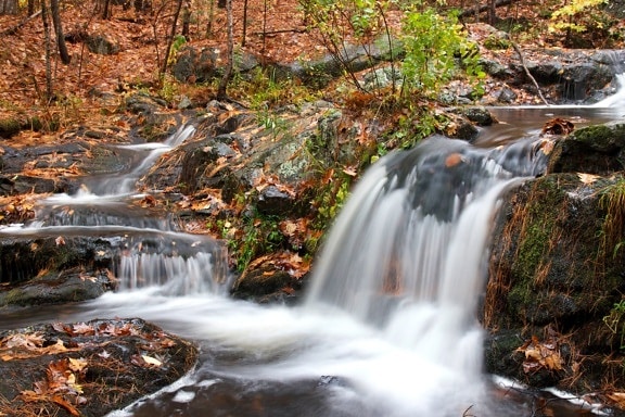 small waterfall, autumn season, forest, water, stream, foliage, fall, leaves, rocks