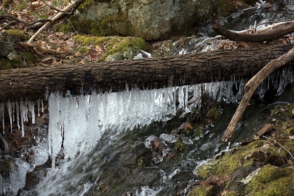 vinter, iskalla vatten, frost, frusen, natur, vinter, is, vatten, träd, stenar