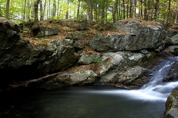 Creek Vijver, meer, bos, water, rotsen, bomen