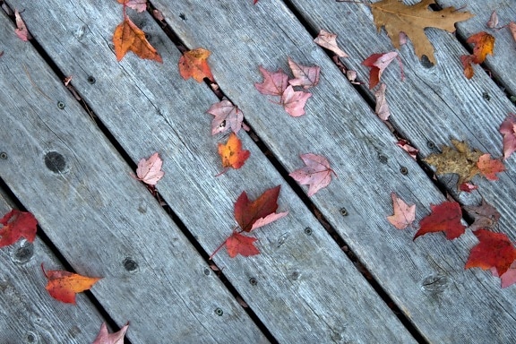 wooden boards, gray wood, vintage, old style, leaves, texture
