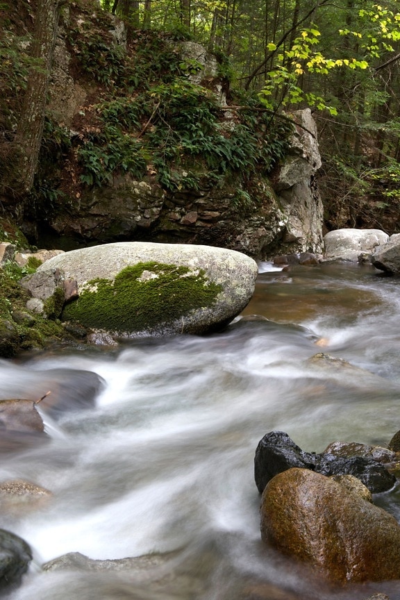 creek, river, water, rocks, trees
