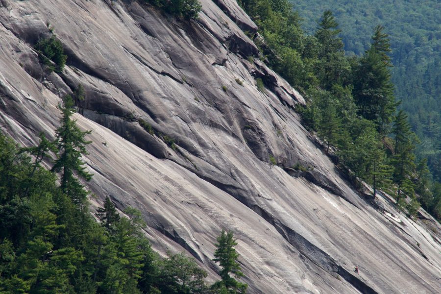 岩が多い丘、岩、木