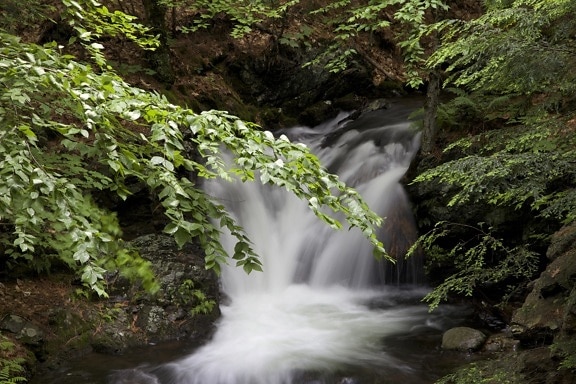 waterfall, creek, river, green leaves, big rocks, water, stream, leaves, trees