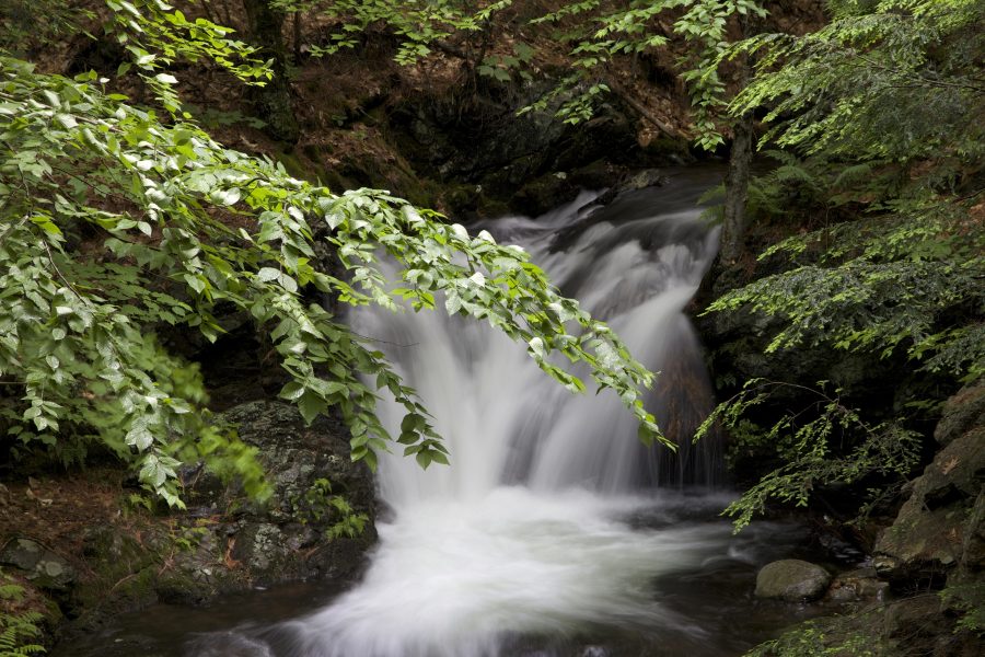 cascada, cala, río, hojas verdes, grandes rocas, agua, corriente, hojas, árboles