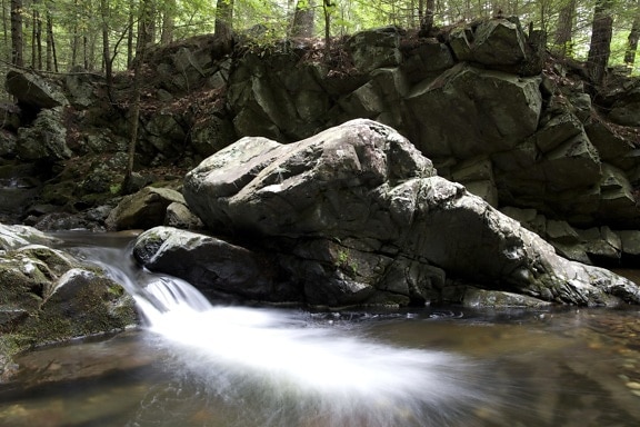 fast creek water, forest, rocks, water, rocks, trees